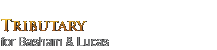 Project and Client