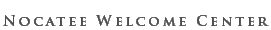 Project Title